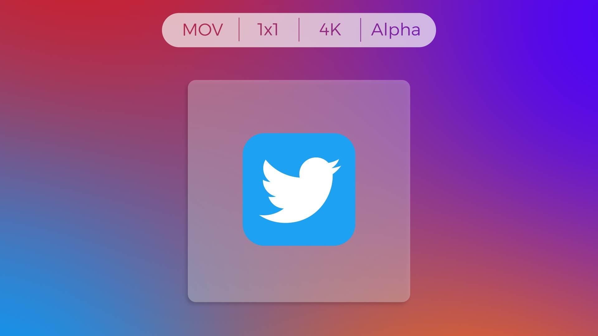 Twitter Logo Transparent