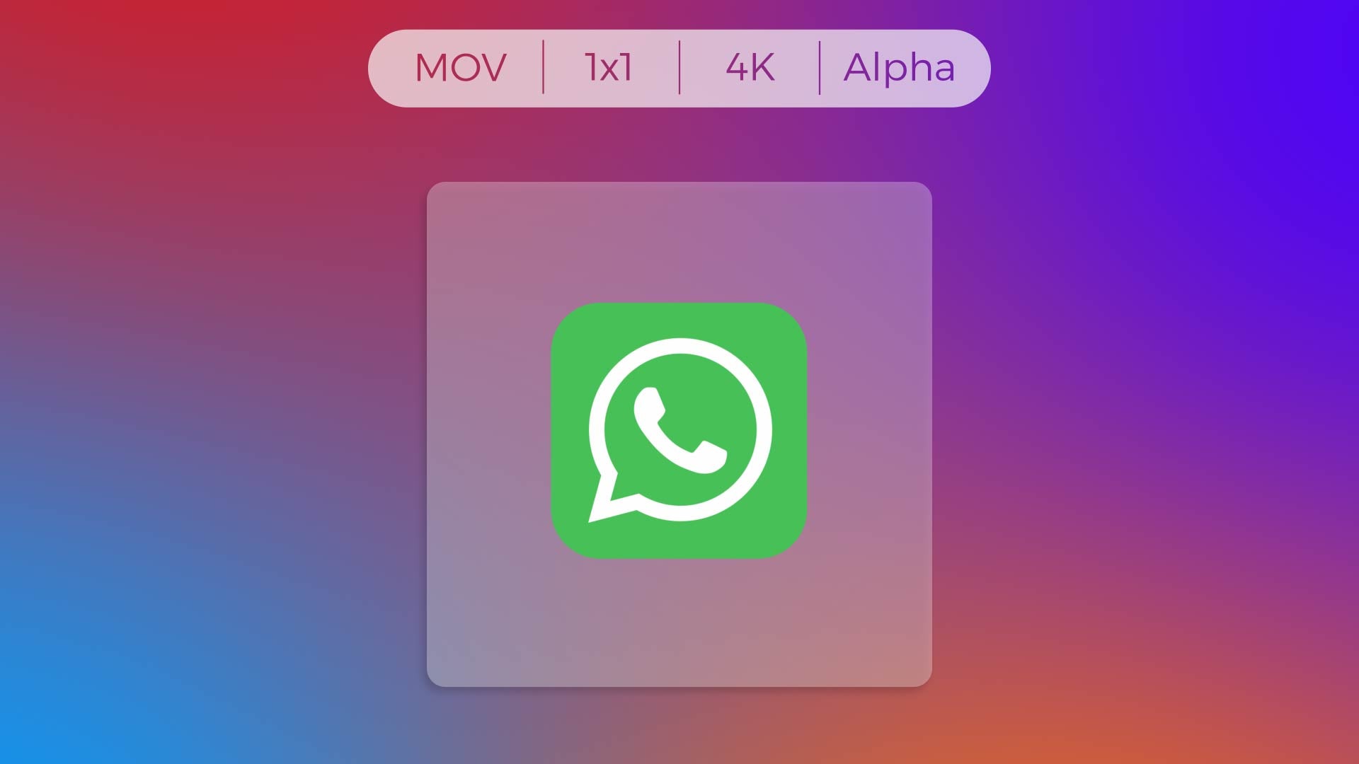 Whatsapp Logo Transparent