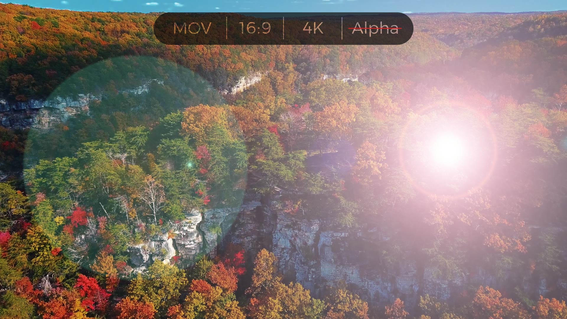 Lens Flare