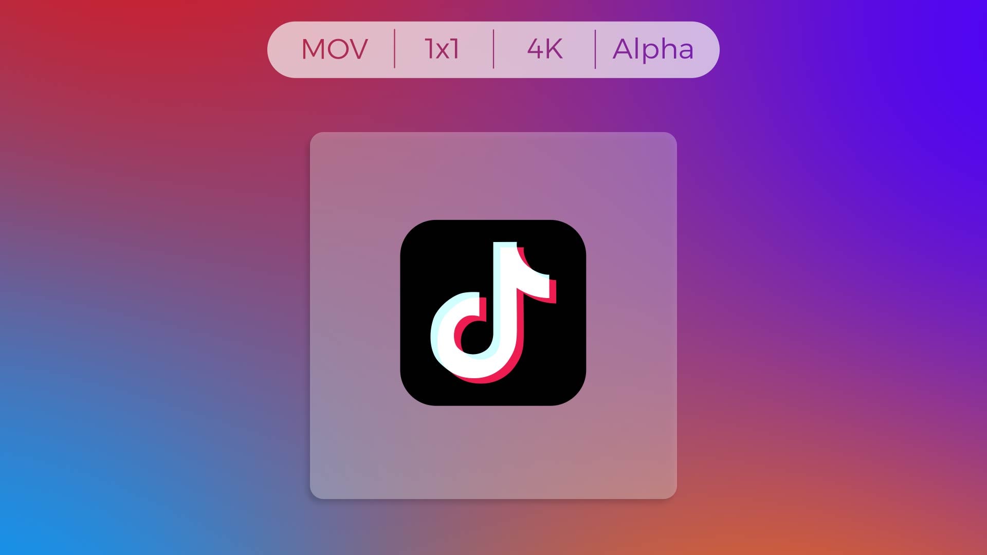 TikTok Logo Transparent